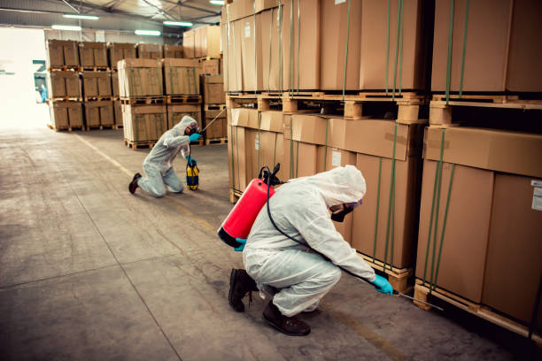 Best Residential Pest Control  in Villa Rica, GA