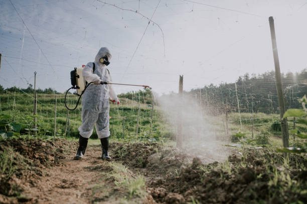 Best Ant Control Services  in Villa Rica, GA