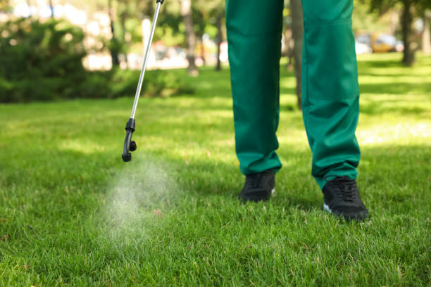 Best Flea Control Services  in Villa Rica, GA