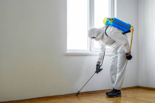 Best Bed Bug Extermination  in Villa Rica, GA