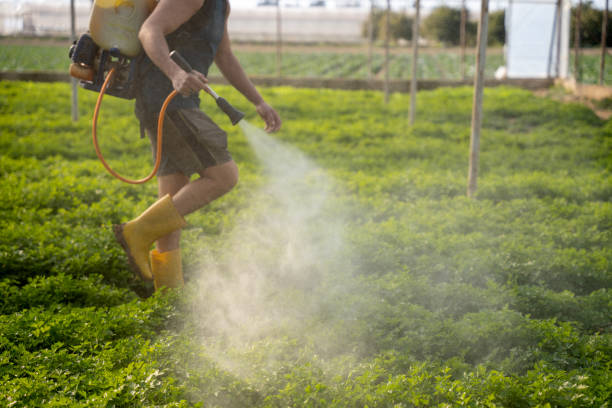 Best Exterminator Services  in Villa Rica, GA