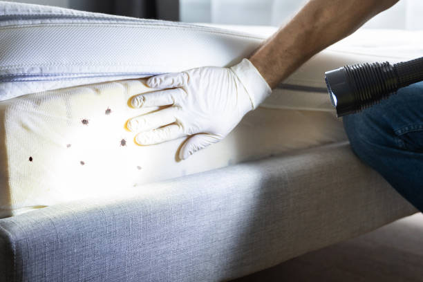 Villa Rica, GA Pest Control Company