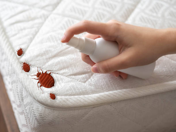 Best Best Pest Control Companies  in Villa Rica, GA